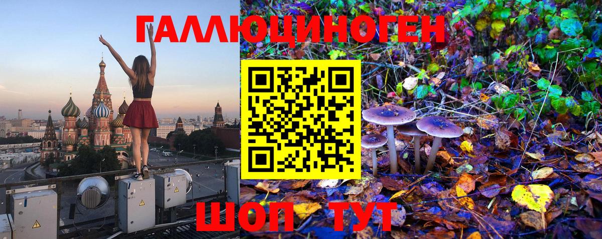 Галлюциногенные грибы мухоморы Ревда